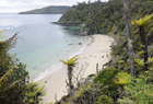 Stewart Island.jpg